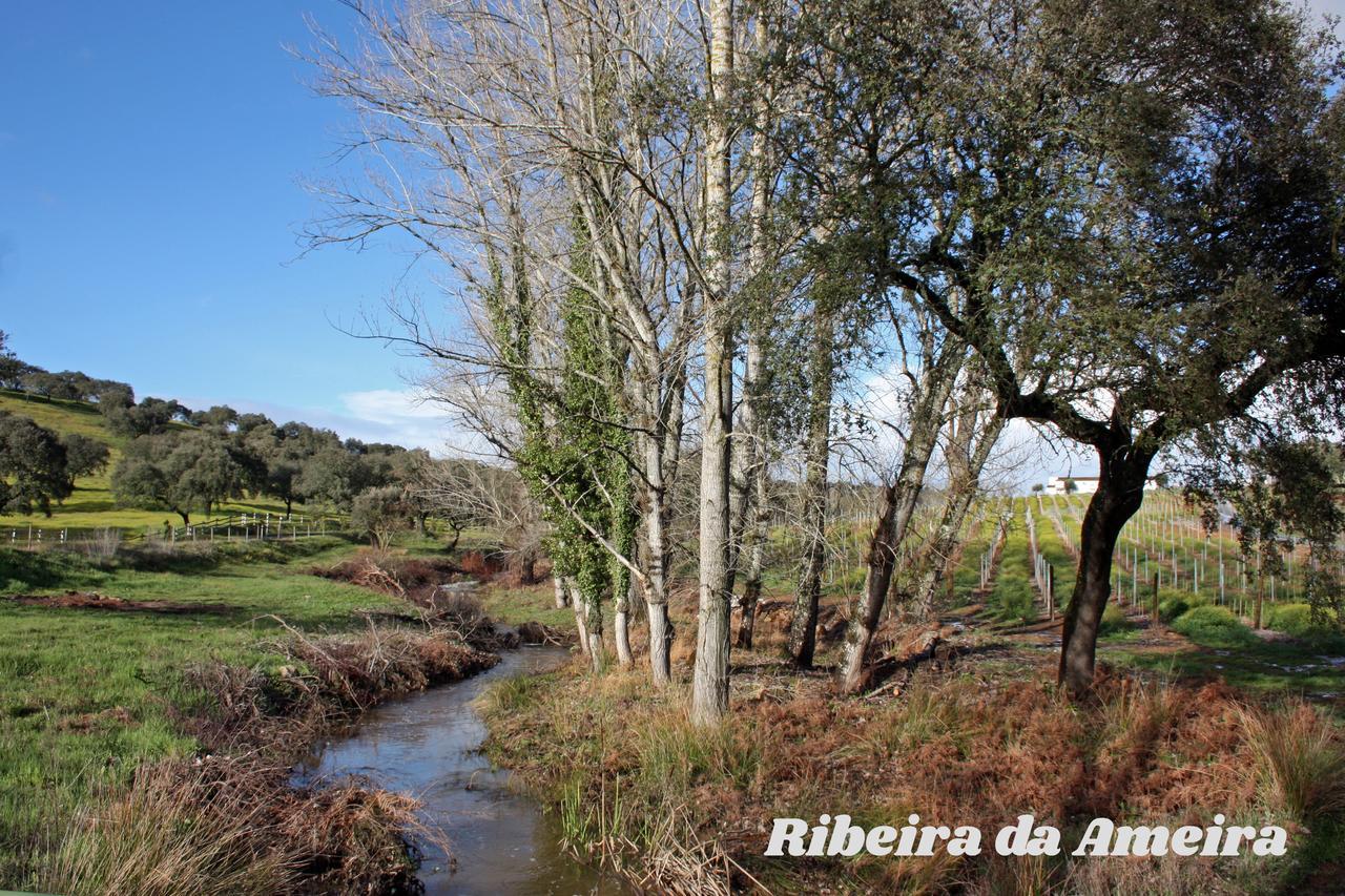 Hotel Rural Da Ameira Montemor-o-Novo Εξωτερικό φωτογραφία